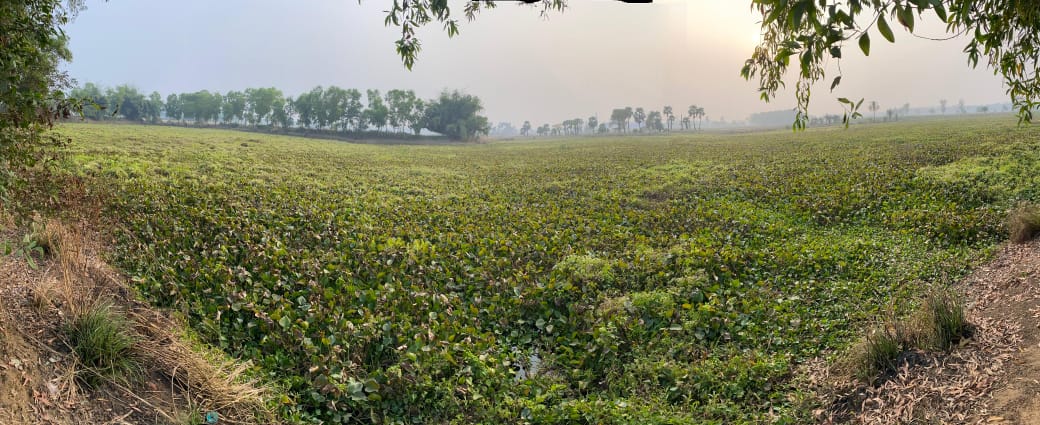 Karanja Bandh Project Site