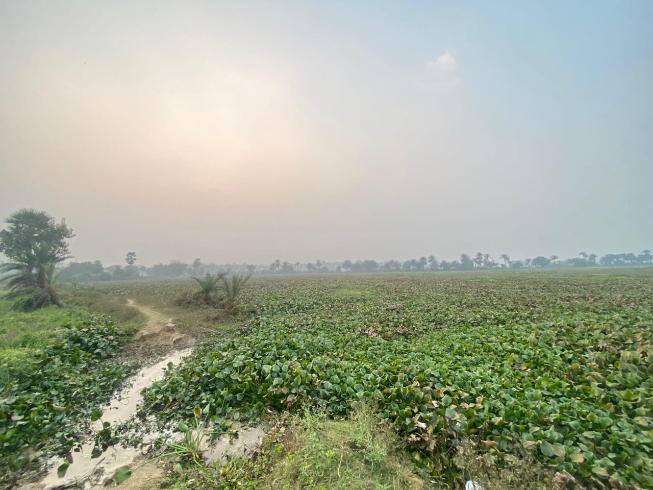 Routh Bandh Project Site