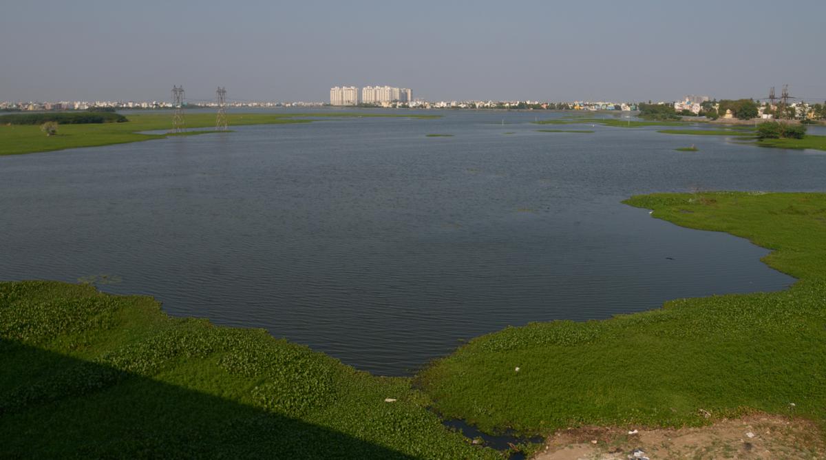 Water Body Rejuvenation